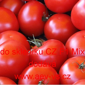 Rajče tyčkov&eacute; hybridn&iacute; červen&eacute; do sklen&iacute;ku CZ F1 Mix