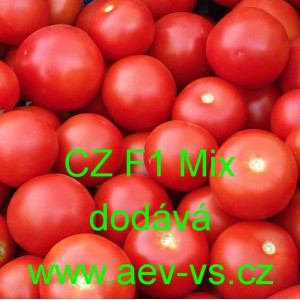 Rajče tyčkov&eacute; hybridn&iacute; na z&aacute;hon CZ F1 Red Mix