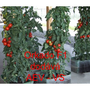 Rajče tyčkov&eacute; hybridn&iacute; Orkado F1