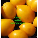 Rajče tyčkov&eacute; Citrina