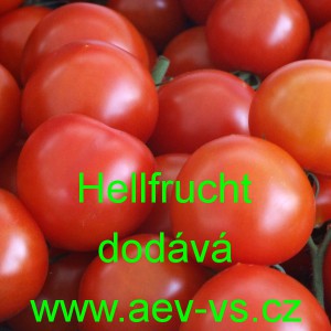 Rajče tyčkov&eacute; Hellfrucht