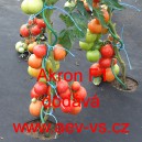 Rajče tyčkov&eacute; hybridn&iacute; Akron F1