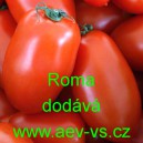 Rajče polotyčkov&eacute; Roma