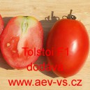 Rajče tyčkov&eacute; hybridn&iacute; Tolstoi F1