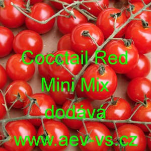 Rajče tyčkov&eacute; Cocctail Red Mini Mix