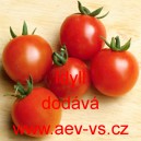 Rajče tyčkov&eacute; Idyll