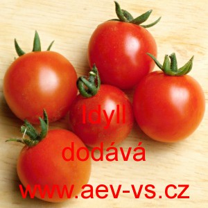 Rajče tyčkov&eacute; Idyll