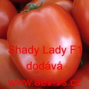 Rajče balk&oacute;nov&eacute; hybridn&iacute; Shady Lady F1