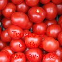 Rajče balk&oacute;nov&eacute; hybridn&iacute; Topsport F1