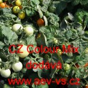 Rajče balk&oacute;nov&eacute; CZ Colour Mix