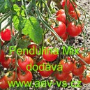 Rajče balkonov&eacute; přepad&aacute;vaj&iacute;c&iacute; (převisl&eacute;) do truhl&iacute;ku Pendulina Mix