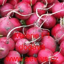 Ředkvička hybridn&iacute; Valerie F1