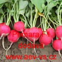 Ředkvička hybridn&iacute; Primara F1