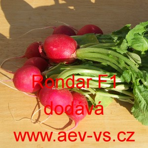 Ředkvička hybridn&iacute; Rondar F1
