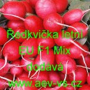 Ředkvička hybridn&iacute; letn&iacute; EU F1 Mix