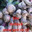 Řepa červen&aacute; sal&aacute;tov&aacute; Mix