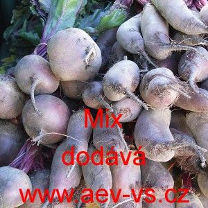 Řepa červen&aacute; sal&aacute;tov&aacute; Mix