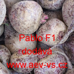 Řepa červen&aacute; sal&aacute;tov&aacute; hybridn&iacute; Pablo F1