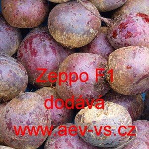 Řepa červen&aacute; sal&aacute;tov&aacute; hybridn&iacute; Zeppo F1