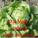 Sal&aacute;t hl&aacute;vkov&yacute; Kr&aacute;l M&aacute;je I