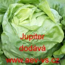 Sal&aacute;t hl&aacute;vkov&yacute; Jupiter
