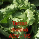 Sal&aacute;t hl&aacute;vkov&yacute; ledov&yacute; Tarzan