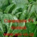 &Scaron;pen&aacute;t set&yacute; zeln&yacute; hybridn&iacute; Carambole F1