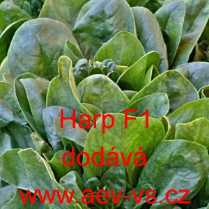 &Scaron;pen&aacute;t set&yacute; zeln&yacute; hybridn&iacute; Harp F1