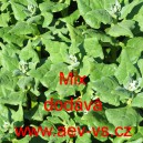 &Scaron;pen&aacute;t novoz&eacute;landsk&yacute; čtyřboč rozložit&aacute; Mix