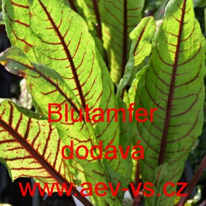 &Scaron;ťov&iacute;k krvav&yacute; Blutampfer