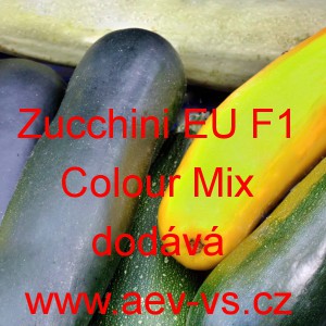 Tykev obecn&aacute; cuketa hybridn&iacute; Zucchini EU F1 Colour Mix