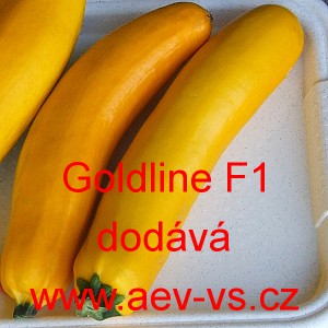 Tykev obecn&aacute; cuketa hybridn&iacute; Goldline F1