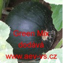 Tykev obecn&aacute; cuketa kulat&aacute; Green Mix
