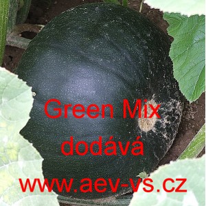 Tykev obecn&aacute; cuketa kulat&aacute; Green Mix