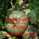 Tykev obecn&aacute; cuketa hybridn&iacute; kulat&aacute; Eight Ball F1