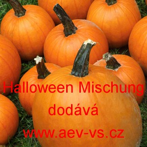 Tykev obecn&aacute; Halloween Mischung