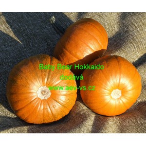 Tykev obecn&aacute; Baby Bear Hokkaido