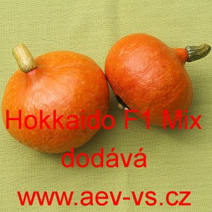 Tykev velkoplod&aacute; hybridn&iacute; Hokkaido F1 Mix