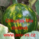 Tykev obecn&aacute; olejn&aacute; Oilkurbis Mix