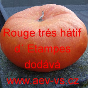Tykev velkoplod&aacute; Rouge tr&eacute;s h&aacute;tif d&acute;Etampes