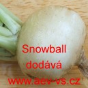Vodnice brukev řep&aacute;k Snowball