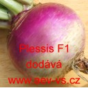 Vodnice brukev řep&aacute;k hybridn&iacute; Plessis F1