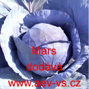 Zel&iacute; hl&aacute;vkov&eacute; červen&eacute; Mars