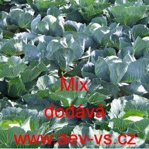 Zel&iacute; hl&aacute;vkov&eacute; b&iacute;l&eacute; kruh&aacute;rensk&eacute; Mix