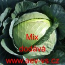 Zel&iacute; hl&aacute;vkov&eacute; b&iacute;l&eacute; skladovateln&eacute; Mix