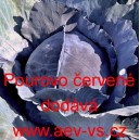 Zel&iacute; hl&aacute;vkov&eacute; červen&eacute; Pourovo červen&eacute;