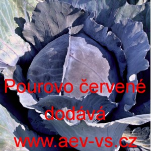 Zel&iacute; hl&aacute;vkov&eacute; červen&eacute; Pourovo červen&eacute;