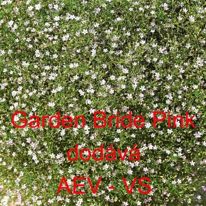 &Scaron;ater zedn&iacute; Garden Bride Pink