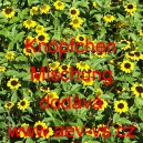 Vit&aacute;lka položen&aacute;, pol&eacute;hav&aacute;, plaziv&aacute; Kn&ouml;pfchen Mischung