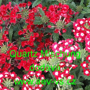 Spor&yacute;&scaron; zahradn&iacute;, zkř&iacute;žen&yacute; Quartz Mischung